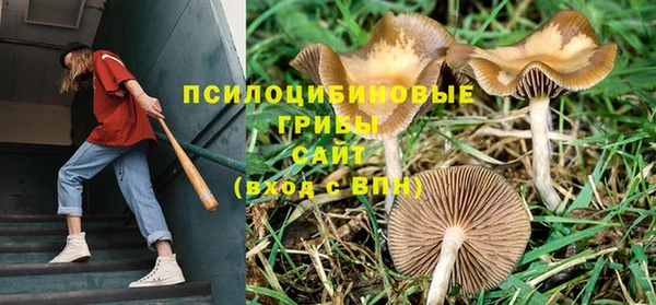 герыч Верхнеуральск