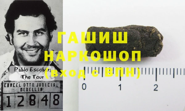 шишки Верея