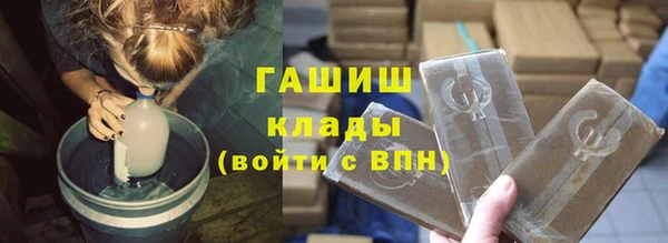 шишки Верея