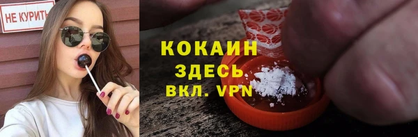 шишки Верея