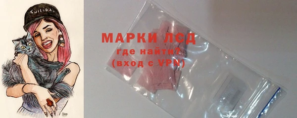шишки Верея