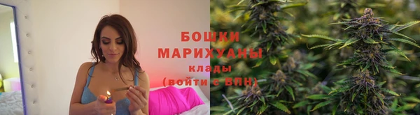 шишки Верея