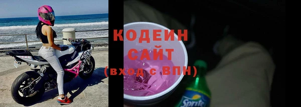 шишки Верея