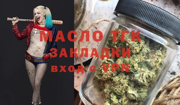 шишки Верея