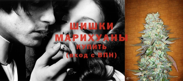 шишки Верея