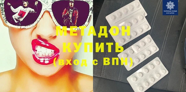 шишки Верея