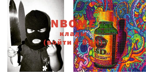 шишки Верея