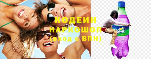 шишки Верея