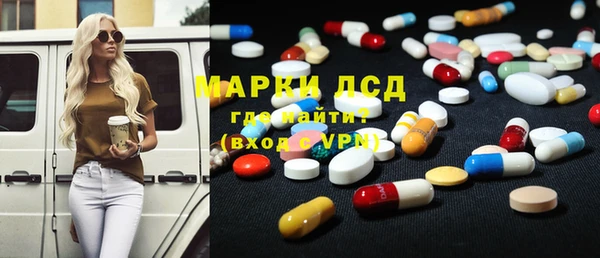 шишки Верея
